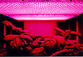 Thumbnail for version as of 00:10, 6 February 2007
