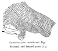 Thumbnail for version as of 18:32, 21 September 2007