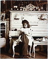 Thumbnail for version as of 03:51, 17 February 2009