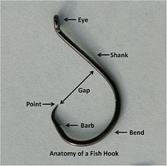 Fishing - New World Encyclopedia