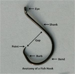  Mustad Beak Salmon Egg, Shank W/Slice, Reversed, Up Eye Gold  10 : Fishing Hooks : Sports & Outdoors