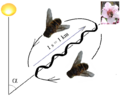 Thumbnail for version as of 00:46, 31 January 2007