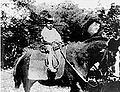 Thumbnail for version as of 20:58, 10 July 2006