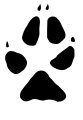 Thumbnail for version as of 18:17, 30 September 2007