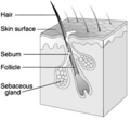 Thumbnail for version as of 14:07, 2 March 2007
