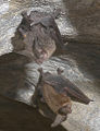 Thumbnail for version as of 13:52, 5 October 2007