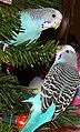 Thumbnail for version as of 02:17, 18 July 2007
