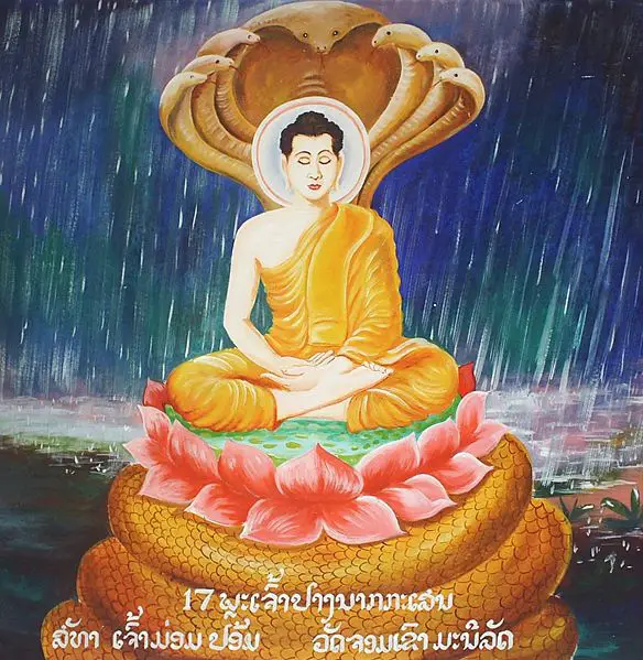 File:Buddha with Naga (snake).jpg
