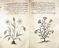 Thumbnail for version as of 22:09, 13 February 2007