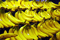 Thumbnail for version as of 04:56, 16 December 2007