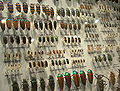Thumbnail for version as of 18:28, 21 December 2005