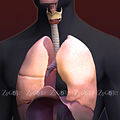 Thumbnail for version as of 14:21, 30 October 2005