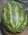 Thumbnail for version as of 15:35, 29 June 2007