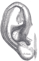 Thumbnail for version as of 14:24, 30 October 2005