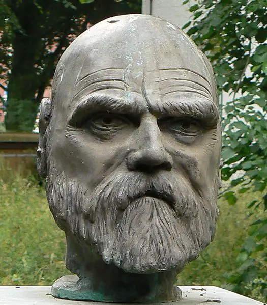 File:Ferdinand Toennies Bueste Husum-Ausschnitt.jpg