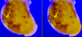 Thumbnail for version as of 14:01, 6 October 2006