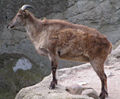 Thumbnail for version as of 10:00, 3 February 2007