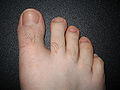Thumbnail for version as of 00:23, 22 November 2007