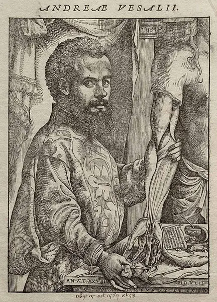 File:Vesalius Fabrica portrait.jpg