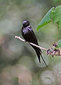 Thumbnail for version as of 22:09, 18 November 2008