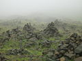 Thumbnail for version as of 17:31, 1 November 2007
