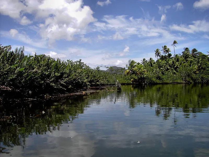 File:Indian River (Dominica).jpg