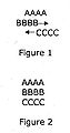 Thumbnail for version as of 02:40, 23 September 2007