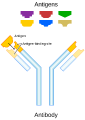 Thumbnail for version as of 17:07, 24 March 2026