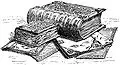 Thumbnail for version as of 19:32, 17 July 2006