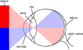 Thumbnail for version as of 15:41, 7 December 2007