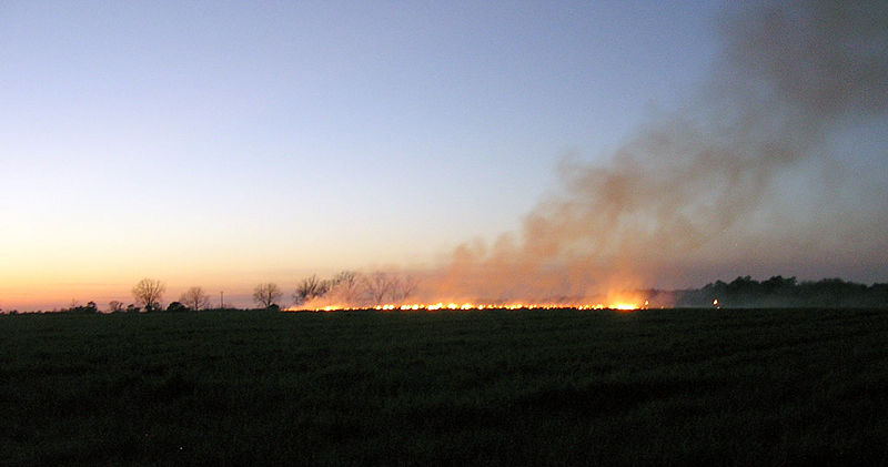File:BurningOffFieldsInTheEveningInSouthGeorgia.jpg