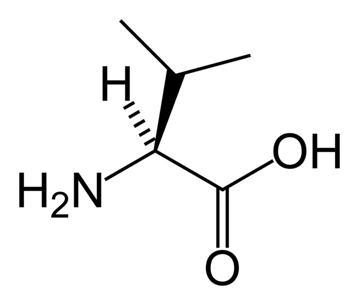 File:L-valine-skeletal.png