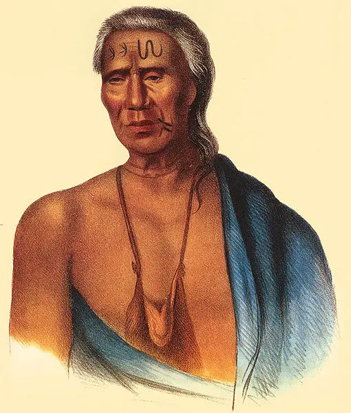 File:Lapowinsa01.jpg