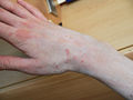 Thumbnail for version as of 18:23, 17 May 2008