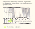 Thumbnail for version as of 14:08, 23 December 2006