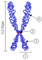 Thumbnail for version as of 15:13, 28 June 2006