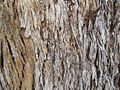 Thumbnail for version as of 15:29, 28 June 2006