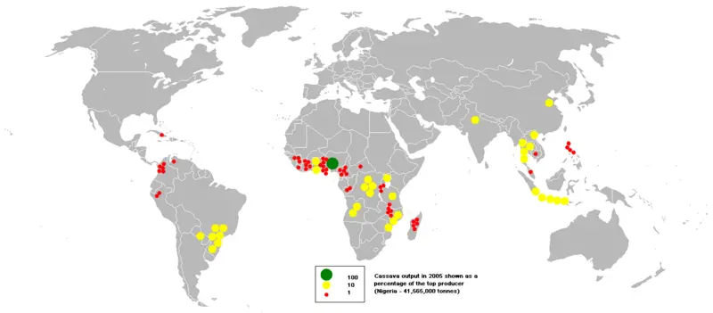 File:2005cassava.PNG