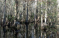 Thumbnail for version as of 23:04, 27 May 2007