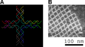 Thumbnail for version as of 06:22, 22 December 2007