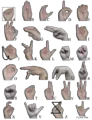 Thumbnail for version as of 20:14, 5 December 2007