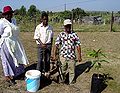 Thumbnail for version as of 01:29, 30 May 2006