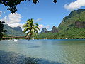Thumbnail for version as of 08:25, 6 June 2006