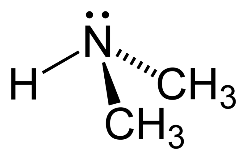 File:Dimethylamine-2D.png