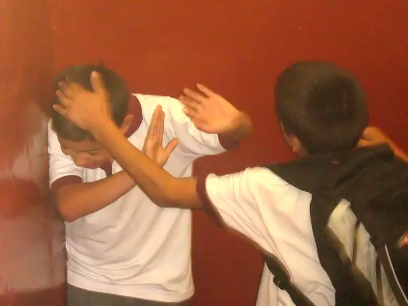 File:Bullying Irfe.jpg
