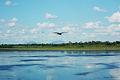 Thumbnail for version as of 20:27, 26 November 2007