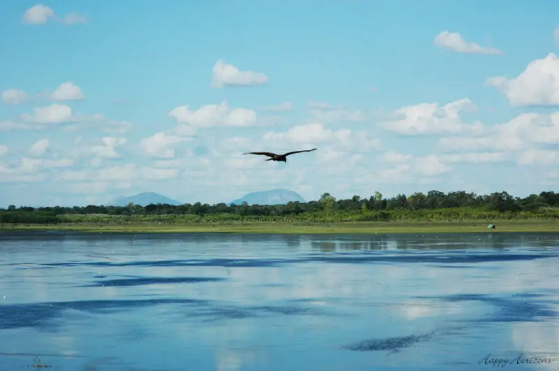 File:BangaloreLake.jpg