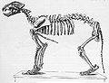 Thumbnail for version as of 03:23, 13 February 2009