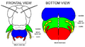 Thumbnail for version as of 02:56, 16 November 2008