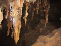Thumbnail for version as of 20:51, 22 March 2008